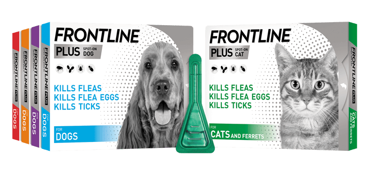 Frontline Plus Flea Treatment