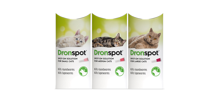Dronspot for cats