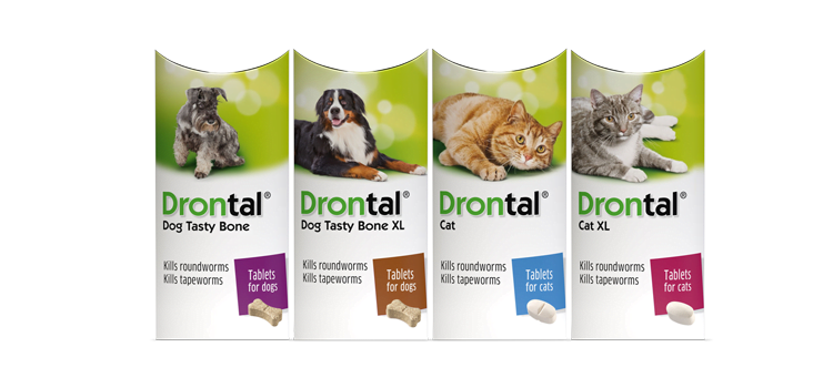 Drontal for dogs