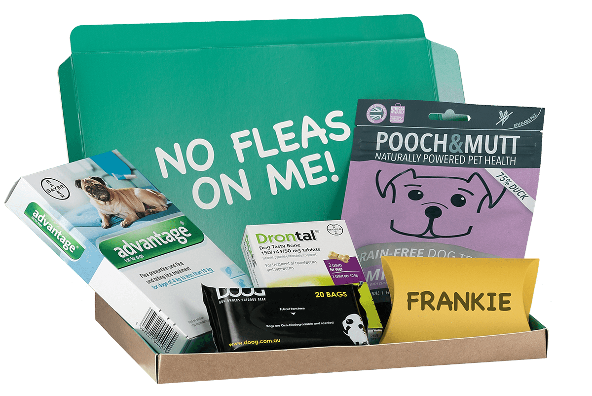 treat-box-frankie