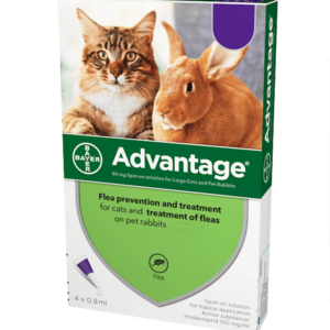Advantage-for-Cats.png Advantage for cats