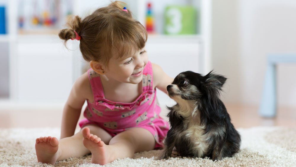 growing up with pets
