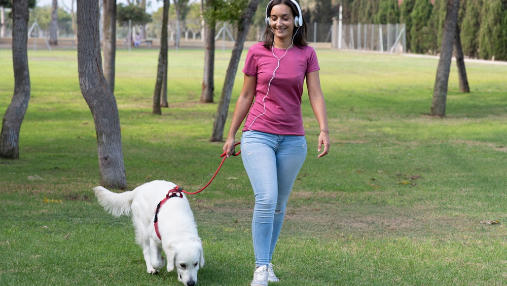 pet podcasts
