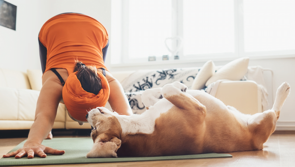 dog yoga 1000 x 565