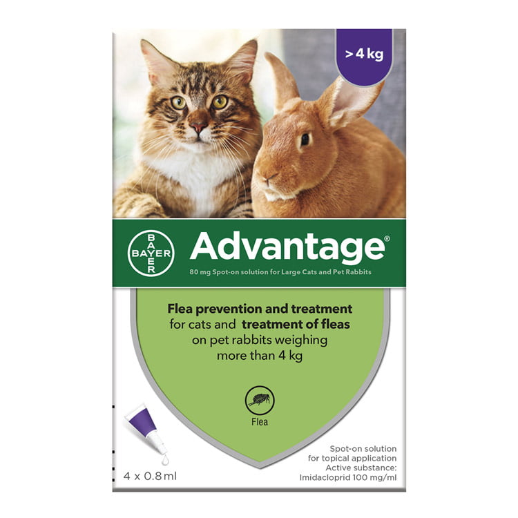 de flea treatment