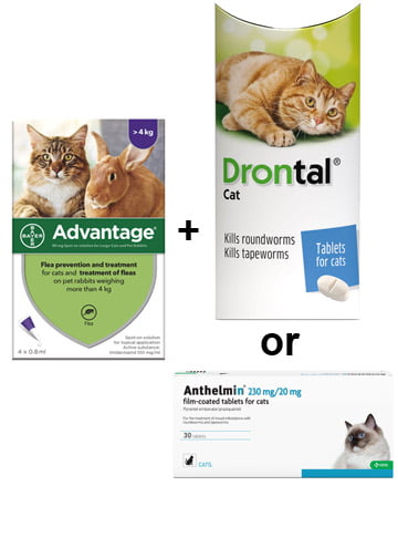 Advantage + Drontal or Anthelmin