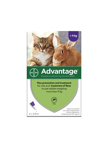 Advantage
