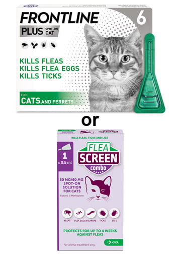 Frontline or Fleascreen Cat