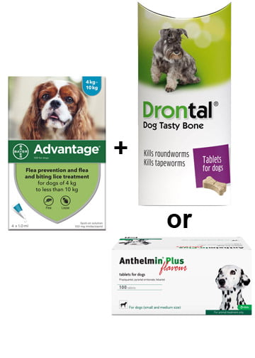 Advantage + Drontal or Anthelmin