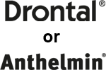 Drontal or Anthelmin